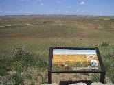 Little Bighorn site