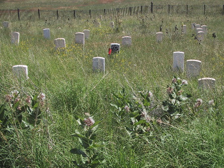 Little Bighorn Battlefield monument, Montana