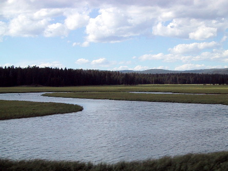 Grasslands