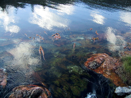 Inside thermal spring