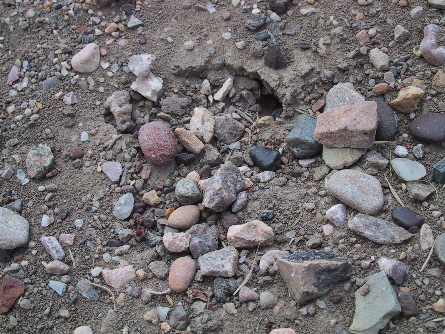 Rocks in the Badlands