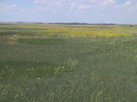 South Dakota prairie