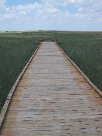 Path into the prairie