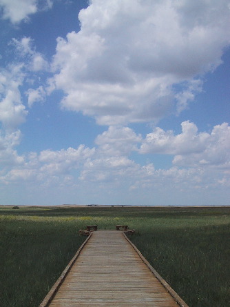 Prairie path