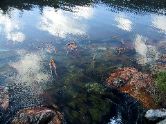 Inside thermal spring