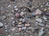 Rocks in the Badlands