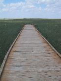 Path into the prairie