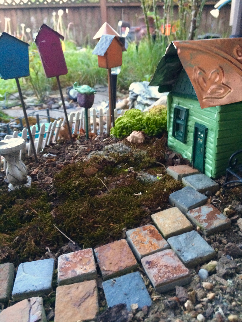 The front yard of the "Green House."